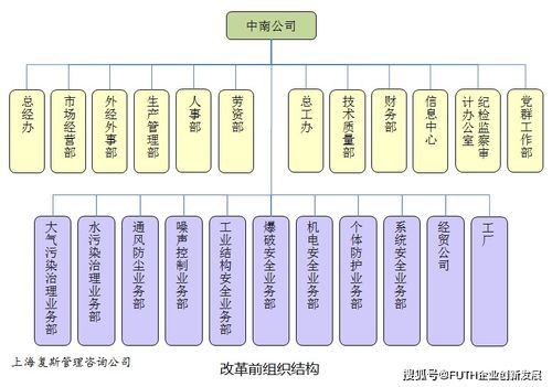 子公司長不大，總部又成了空殼子 某高科技企業技術服務型子公司的管理困境